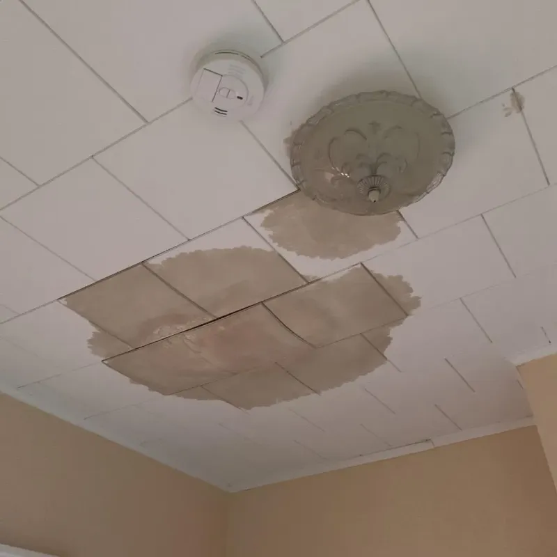 Ceiling Water Damage Repair in Center Harbor, NH
